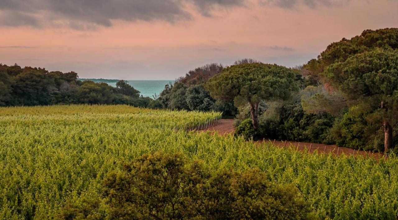 Masseria Mongio Dell'Elefante Οτράντο Εξωτερικό φωτογραφία