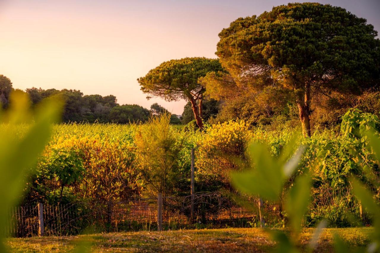 Masseria Mongio Dell'Elefante Οτράντο Εξωτερικό φωτογραφία