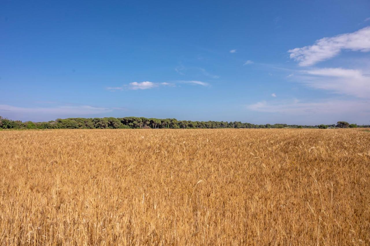 Masseria Mongio Dell'Elefante Οτράντο Εξωτερικό φωτογραφία