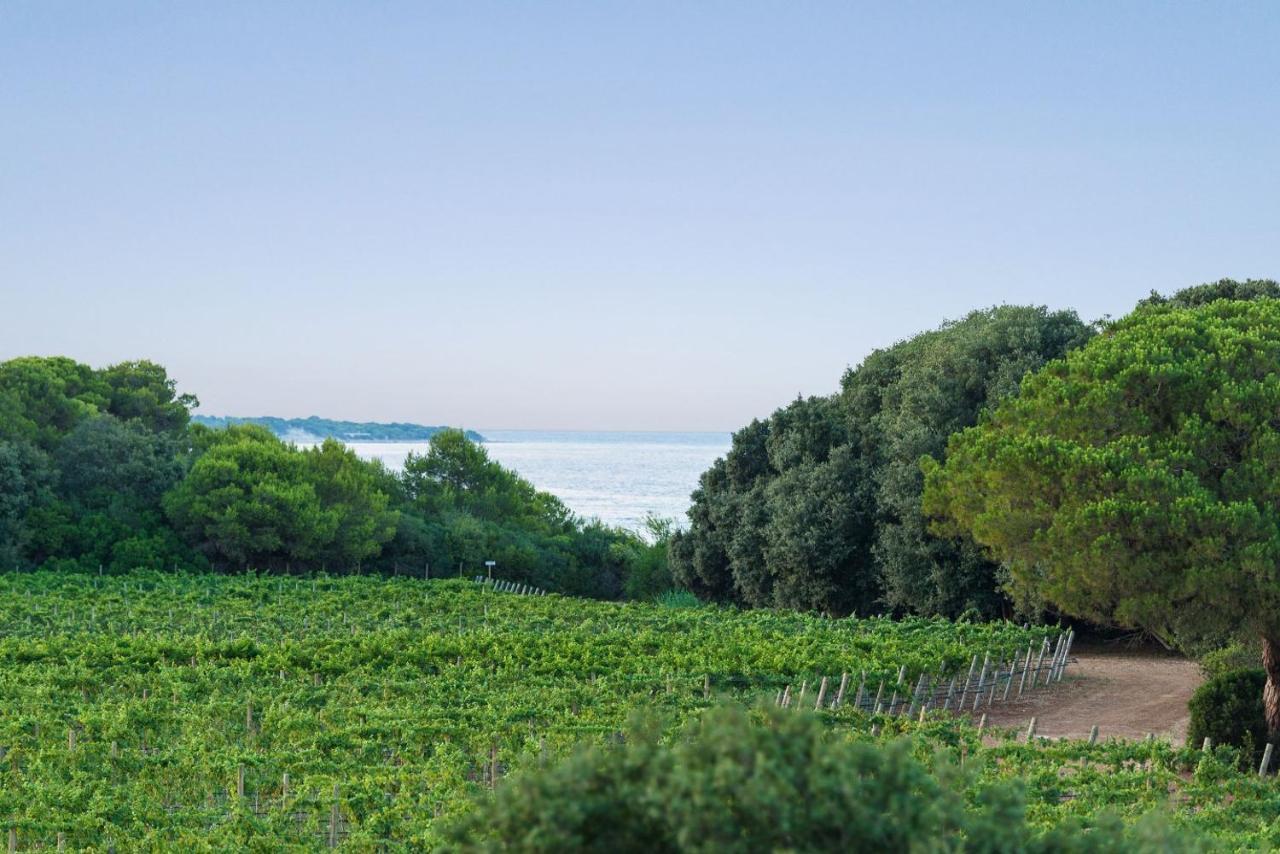 Masseria Mongio Dell'Elefante Οτράντο Εξωτερικό φωτογραφία